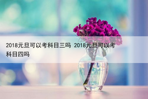 2024年元旦可以考科目三吗 2024年元旦可以考科目四吗