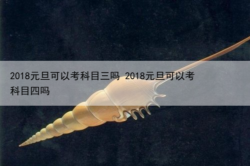 2024年元旦可以考科目三吗 2024年元旦可以考科目四吗