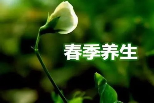 春季养生小技巧 吃多蔬菜勤锻炼