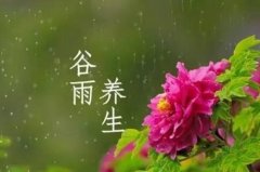 如何在谷雨季节调养身体