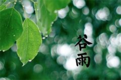 谷雨时节如何养生