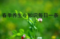 春季养生小知识每日一条