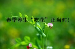 春季养生“吃花”正当时！