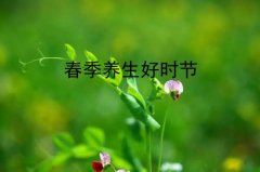 春季养生好时节