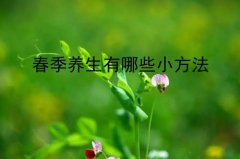 春季养生有哪些小方法