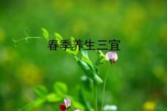 春季养生三宜：顺应“生”字、早起锻炼