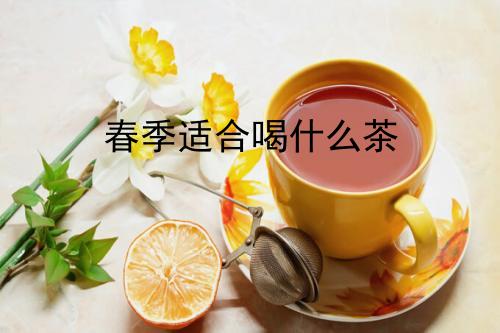 春季适合喝什么茶？春天最适合饮用茶