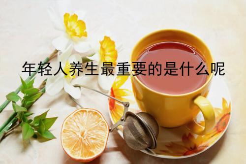 年轻人养生最重要的是什么呢