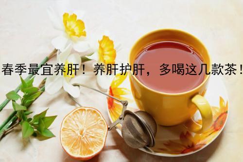 春季最宜养肝！养肝护肝，多喝这几款茶！