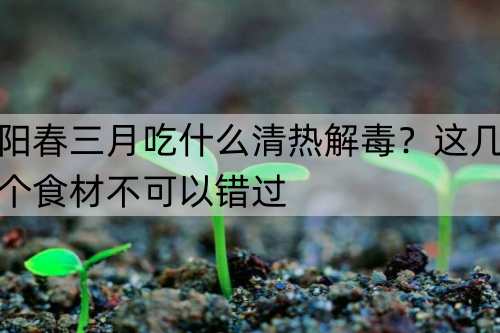 阳春三月吃什么清热解毒？这几个食材不可以错过