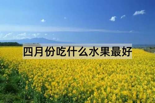 四月份吃什么水果最好