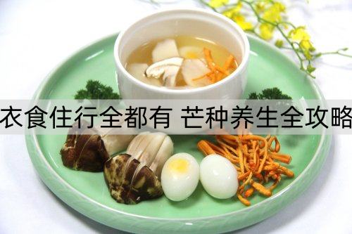 衣食住行全都有 芒种养生全攻略