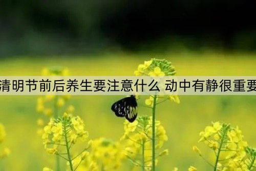 清明节前后养生要注意什么 动中有静很重要