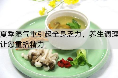 夏季湿气重引起全身乏力，养生调理让您重拾精力